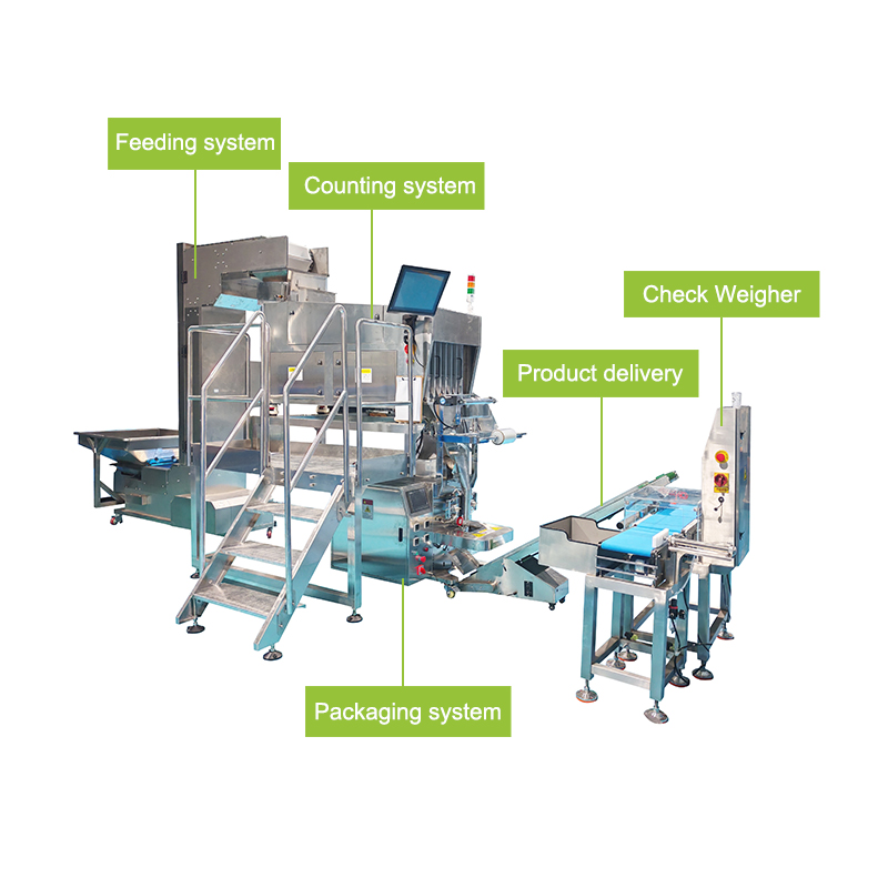 Insulin Pen Needles Vision Counting And Packaging Machine